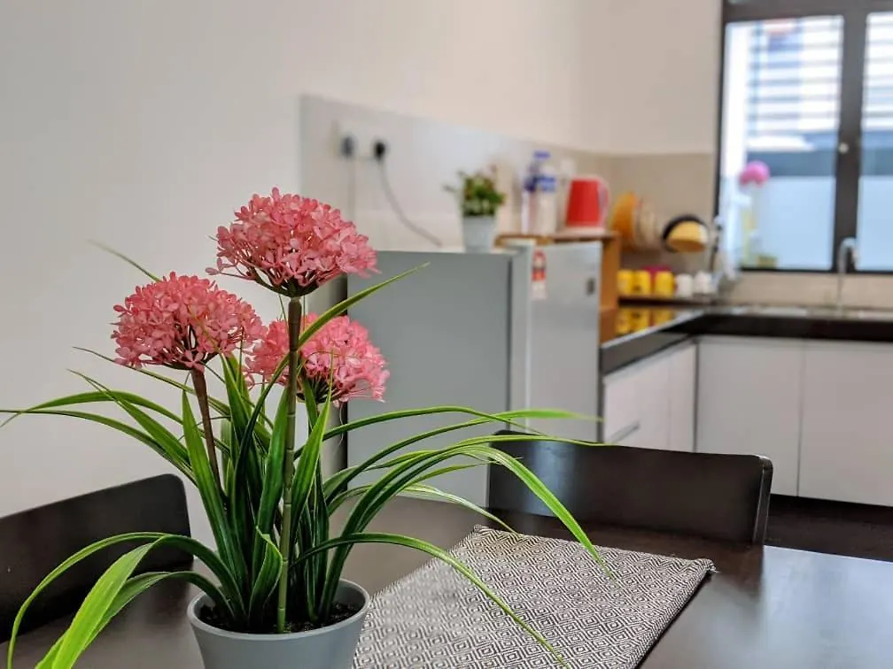 Syifa Homestay Melaka Semesterbostad Malacca